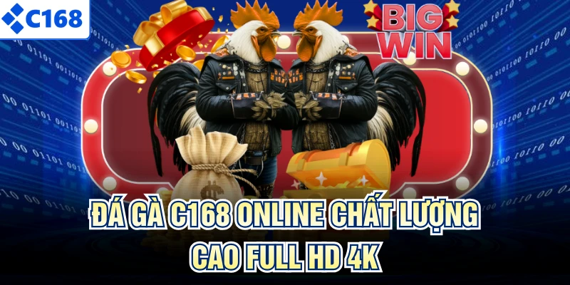 Đá gà C168 online chất lượng cao full HD 4k